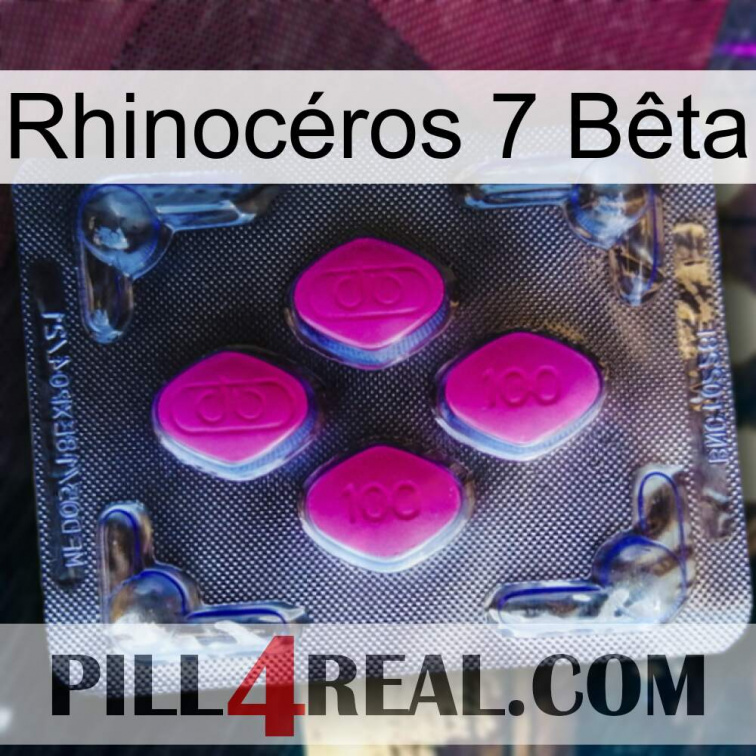 Rhinocéros 7 Bêta 02